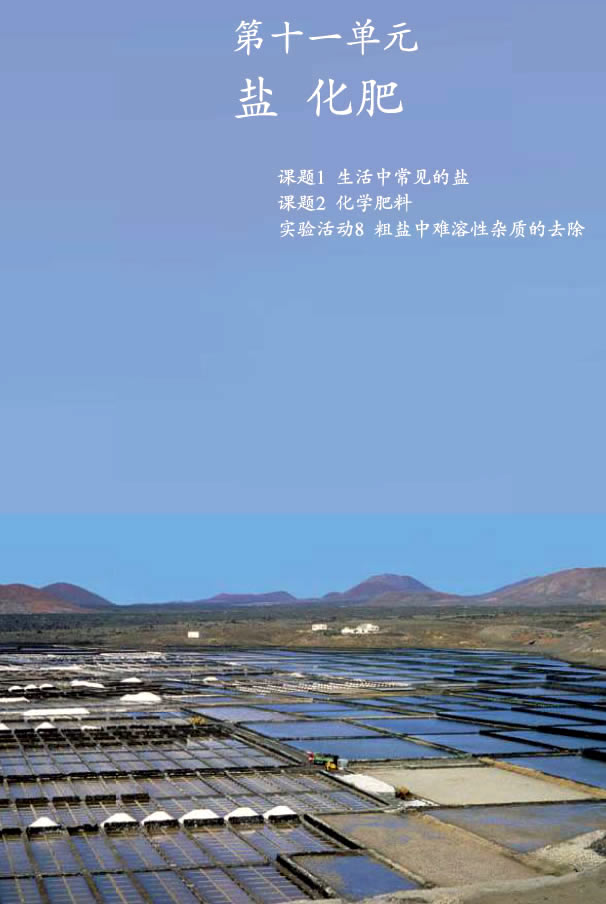 �n�} 11.1 �����г�Ҋ���}_