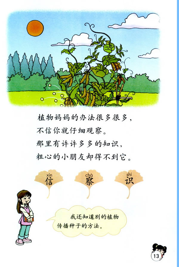 3��ֲ������k��_