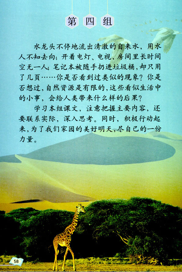 13��ֻ��һ��(g��)����_