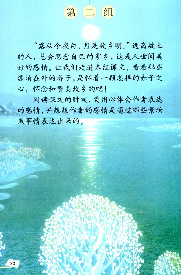 5����Ԋ(sh��)����_