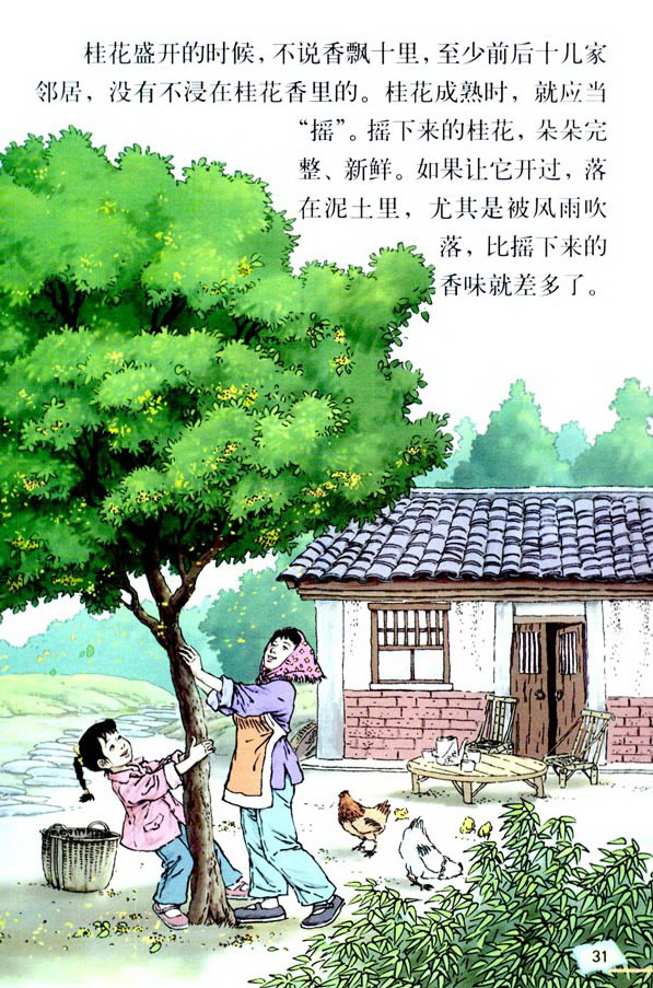 7*������_