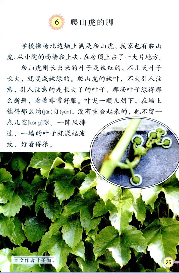 6����ɽ�����__