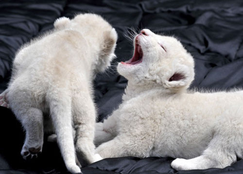 �鿴���ྫ�ʈDƬ